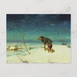 Lone Wolf Samotny Wilk Postkarte