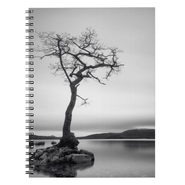 Lonely Bare Tree Notizblock (Vorderseite)
