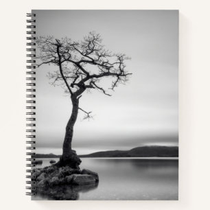 Lonely Bare Tree Notizbuch