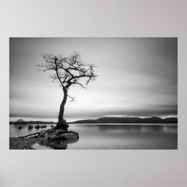 Lonely Bare Tree Poster (Vorne)