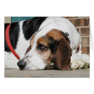 Lonely Basset Hound Karte