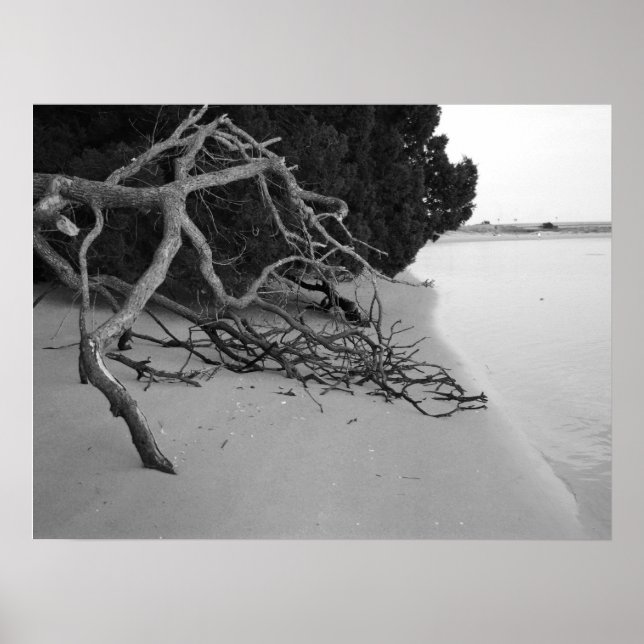 Lonely Beach Poster (Vorne)