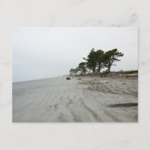 Lonely Beach, Westport Postkarte