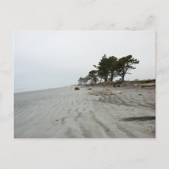 Lonely Beach, Westport Postkarte (Vorderseite)