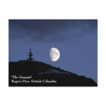 Lonely Companion Postcard