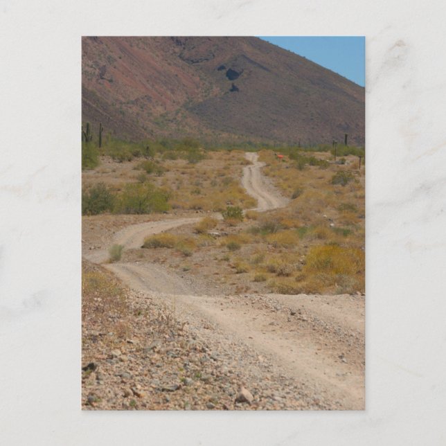 Lonely Desert Road 01 Postkarte (Vorderseite)