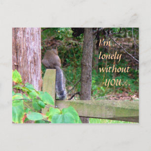 Lonely Eichhörnchen Postkarte