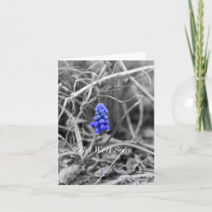 Lonely Graf Hyacinth Wählen Sie Farbe wird gut Karte