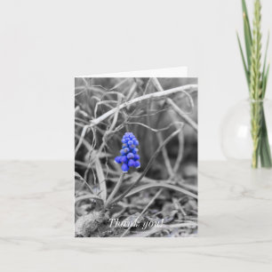 Lonely Grape Hyacinth Wählen Sie die Farbe Dankeskarte