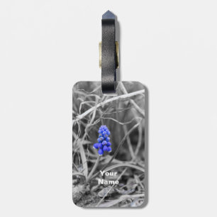 Lonely Grape Hyacinth Wählen Sie die Farbe Gepäckanhänger