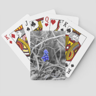 Lonely Grape Hyacinth Wählen Sie die Farbe Spielkarten