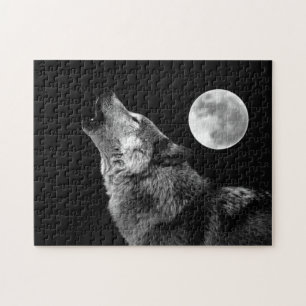 Lonely Grey Wolf & Fullmoon