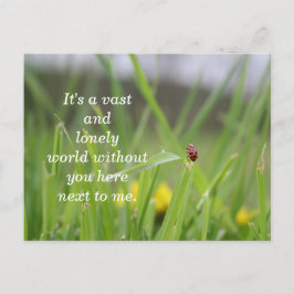 [Lonely Ladybug] Vermisst Postkarte