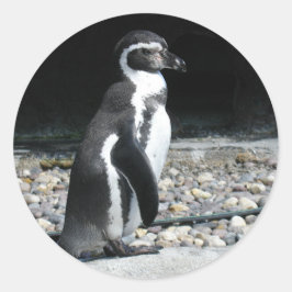 Lonely Penguin Runder Aufkleber