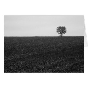 Lonely Tree