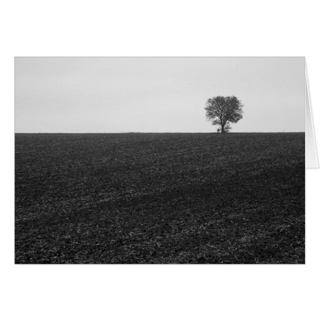 Lonely Tree (Vorderseite (Horizontal))