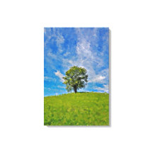 Lonely Tree - Serene Grassy Field
