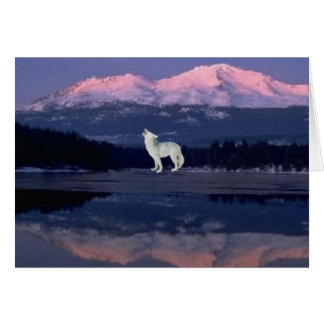 Lonely Wolf