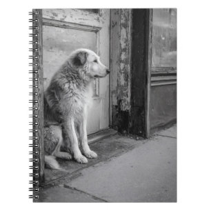 Lonesome Dog geerdigtes Dog Notebook Notizblock