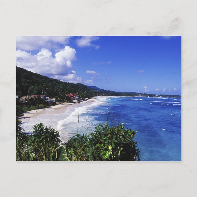 Long Bay, Port Antonio, Jamaika Postkarte (Vorderseite)