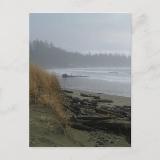 Long Beach, Tofino, Vancouver Island Postkarte