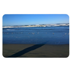 Long Beach, Washington Magnet