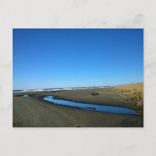 Long Beach, Washington Postkarte