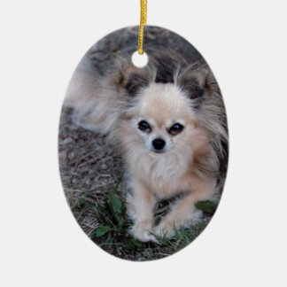 Long Coat Chihuahua Keramikornament