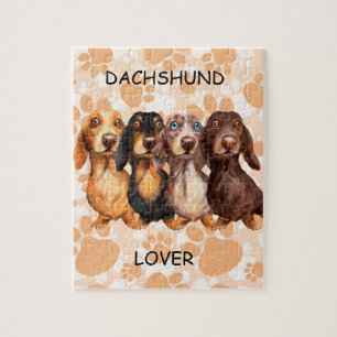 Long Hair Dachsund