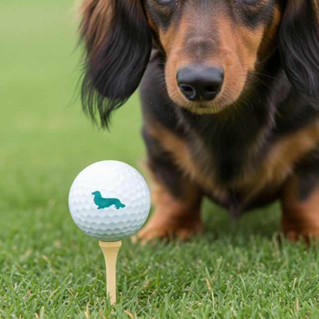 Long Hair Dackel Aquamarin Golfer Geschenk Golfball (Long hair dachshund golf balls for wiener dog loving golfers)