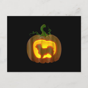 Long Haired Chihuahua Halloween Postkarte