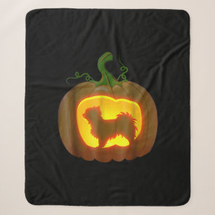 Long Haired Chihuahua Halloween Sherpadecke