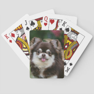 Long Haired Chihuahua Headshot 1 Spielkarten