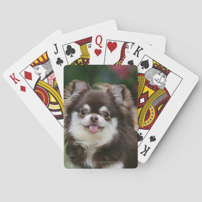 Long Haired Chihuahua Headshot 1 Spielkarten (Rückseite)
