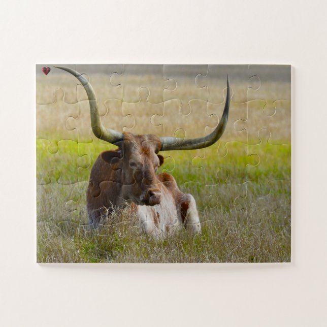 Long Horn Cattle Texas (Horizontal)