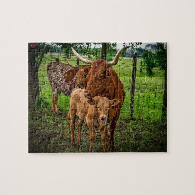 Long Horn Cattle Texas (Horizontal)