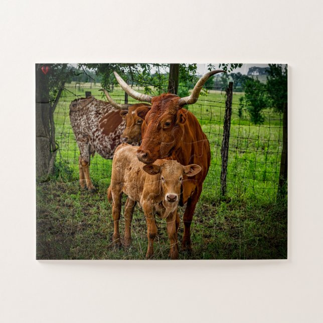Long Horn Cattle Texas (Horizontal)
