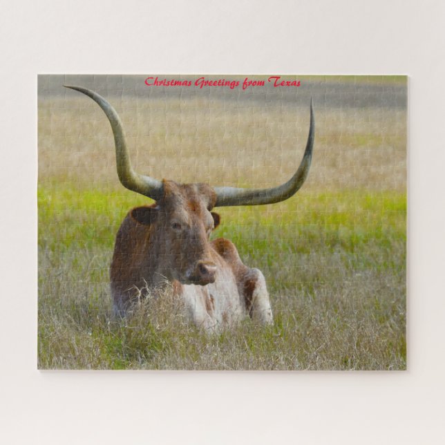 Long Horn Cattle Texas.Christmas Grüße (Horizontal)