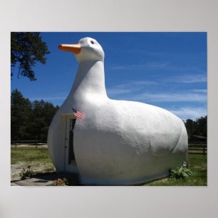 Long Island-Enten-Plakat Poster