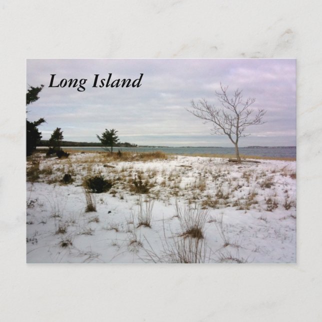 Long Island Shelter Island Postkarte (Vorderseite)