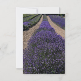 Long Lavender Row Mitteilungskarte