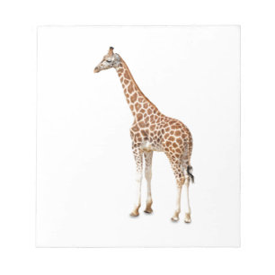 Long Neck Giraffe Notizblock