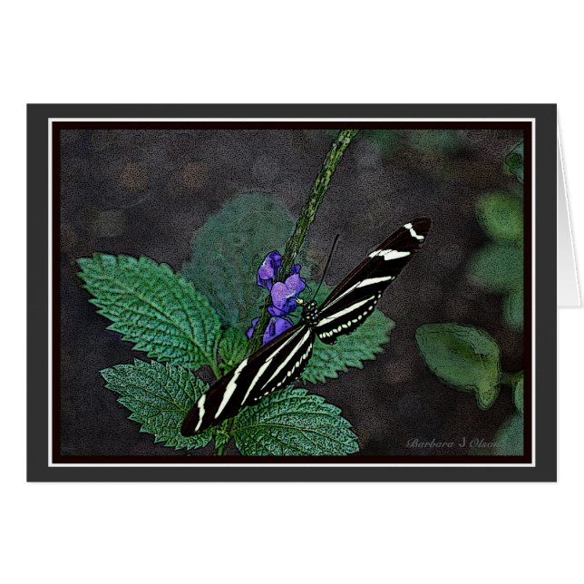 Long papillon de zèbre d'aile (Devant horizontal)