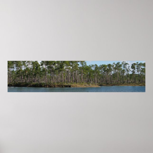 Long Pine Key Poster (Vorne)