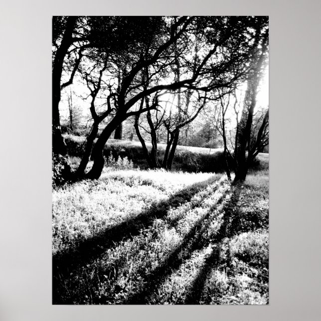 Long Shadows Black and White Poster (Vorne)