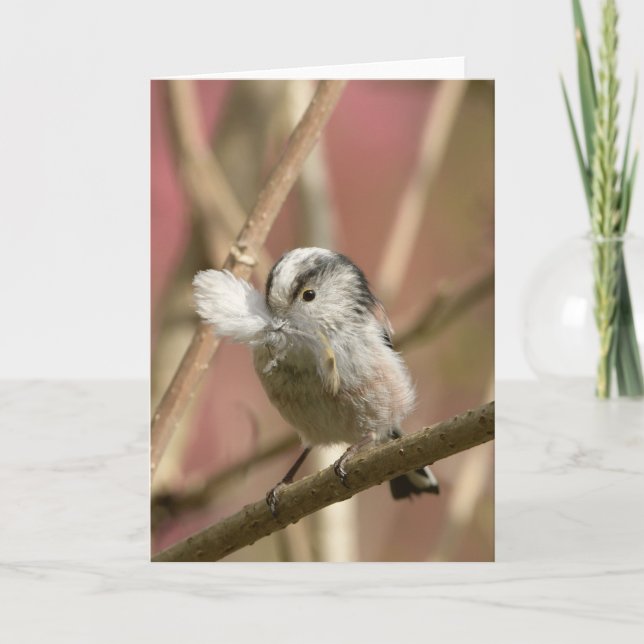 Long Tailed Tit with feather Karte (Vorderseite)