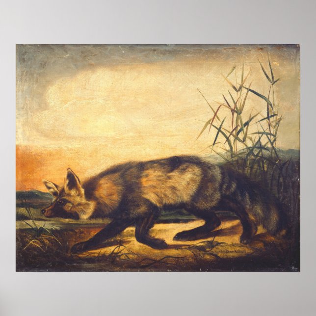 Long-Tails Red Fox - JW Audubon Fine Art Poster (Vorne)