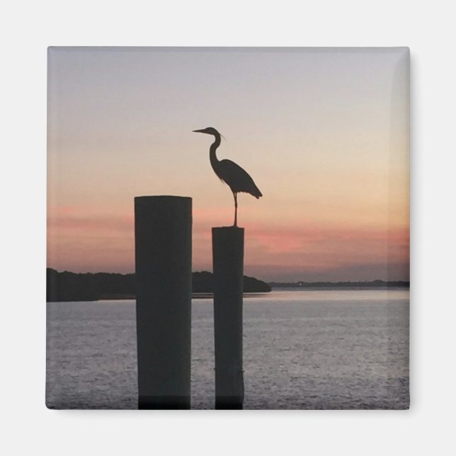 Longboat Key Pelican Magnet (Vorne)