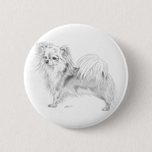 Longcoat Chihuahua - stehend Button (Vorderseite)