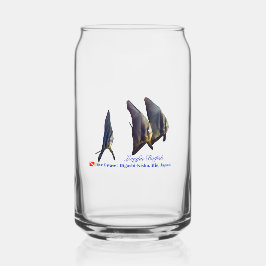 Longfin Batfish Dosenglas